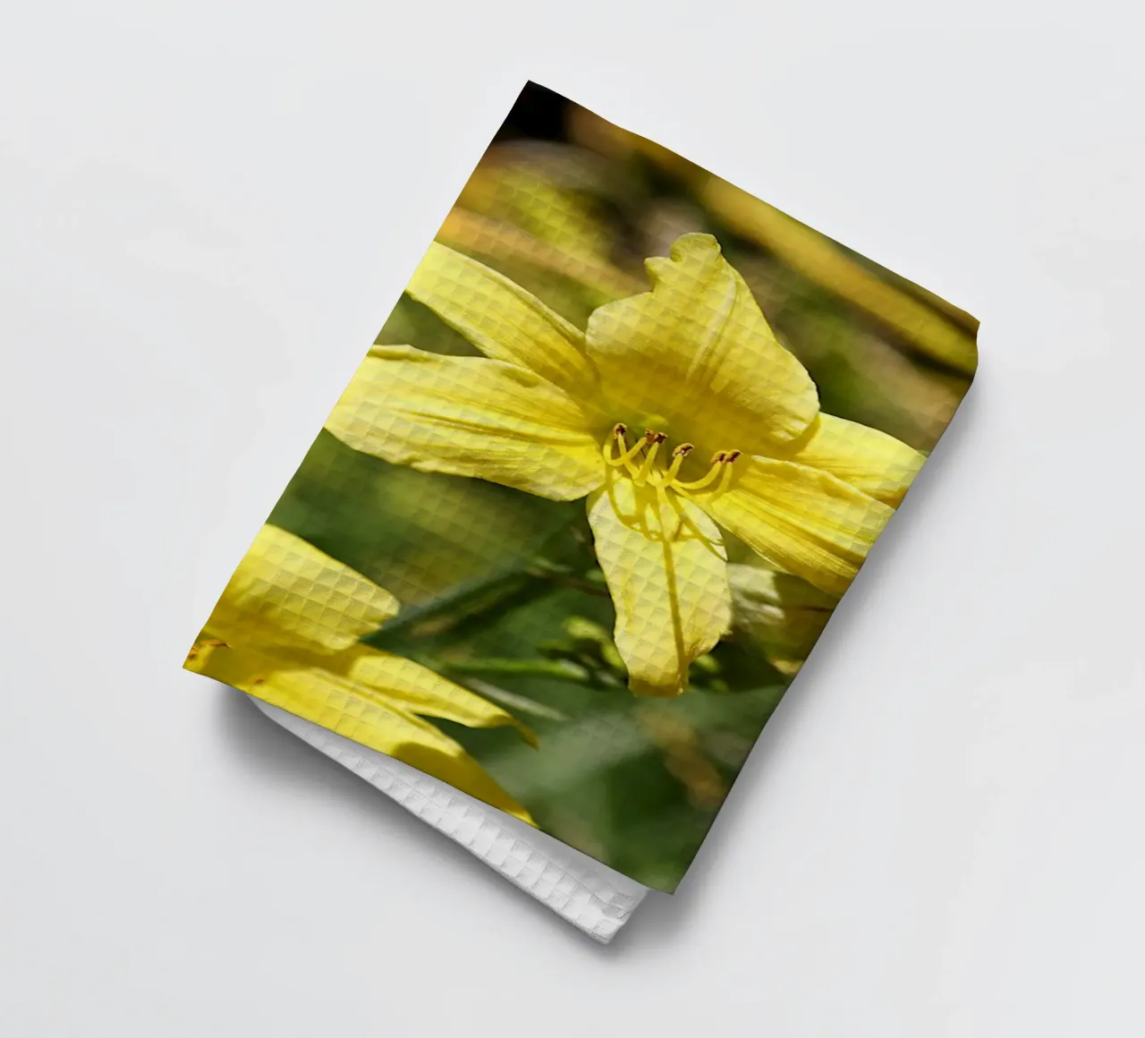 Daylily canovaccio da cucina da Edenart