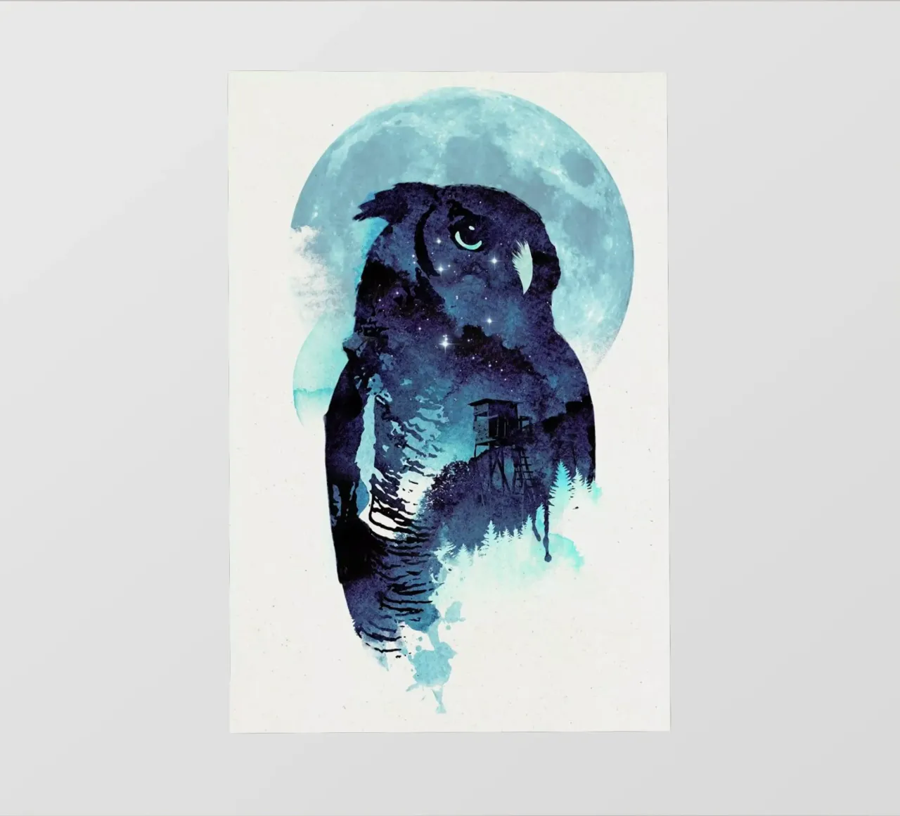 Midnight owl pellicola backlit da Róbert Farkas