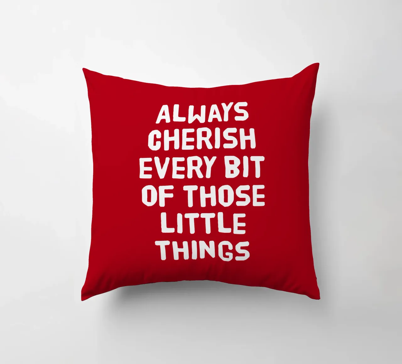 Always cherish every bit of those little things cuscino da happieeagle