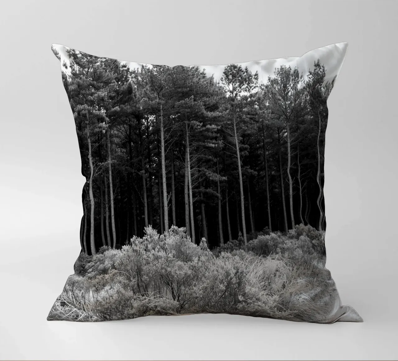 Foresta cuscino da rafael campezato