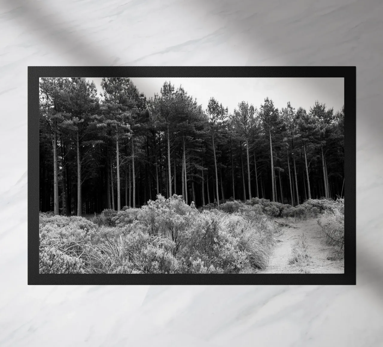 Foresta zerbino da rafael campezato