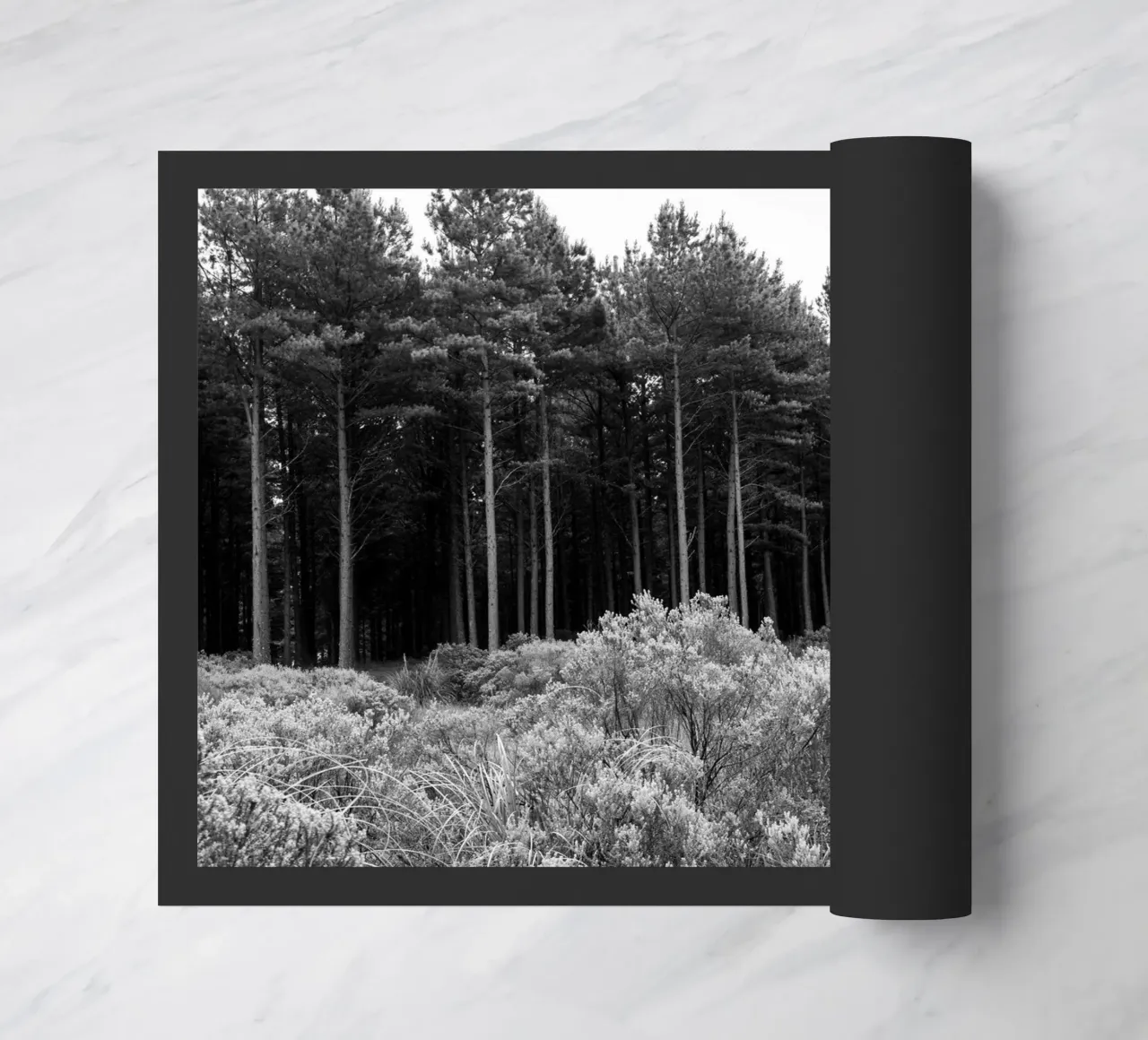 Foresta zerbino da rafael campezato