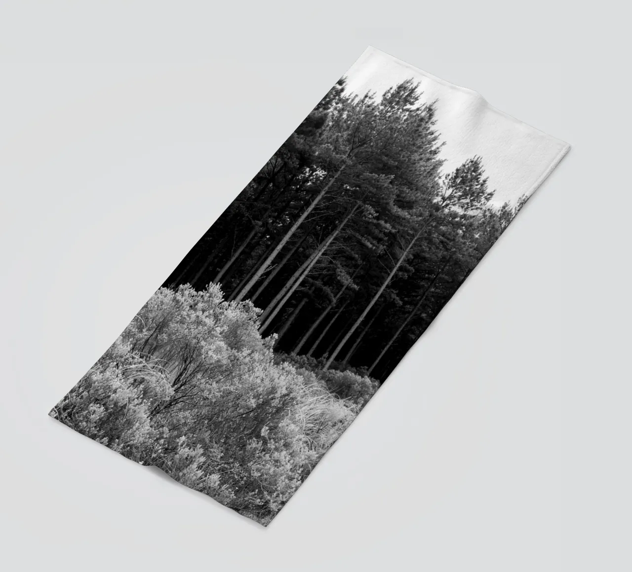 Foresta telo mare da rafael campezato