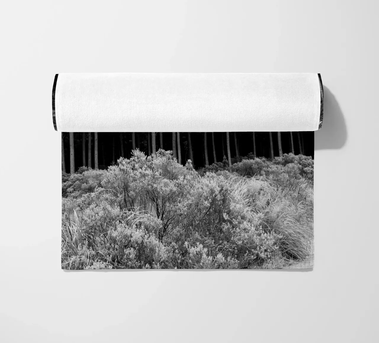 Foresta telo mare da rafael campezato