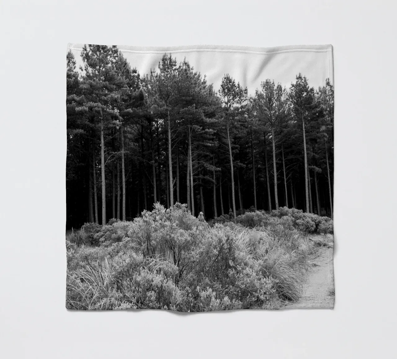 Foresta coperta in pile da rafael campezato