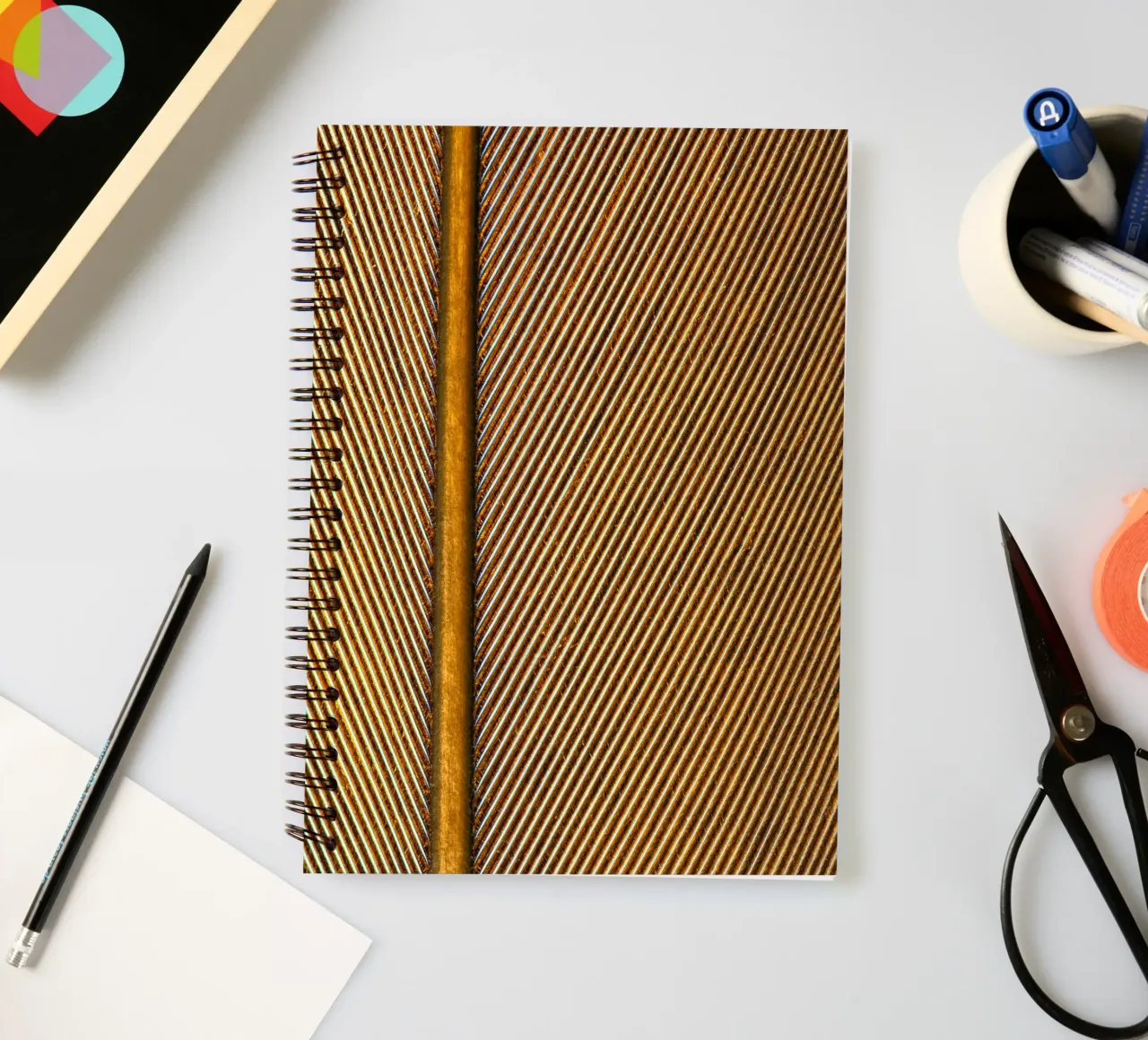 Grace in Every Detail – Close-Up of a Feather diario ad anelli da Curious Collections by Marielle Leenders