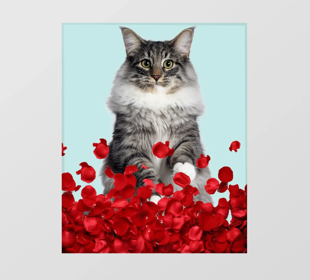 gatto grigio e rose rosse pellicola backlit da Berwies Artwork