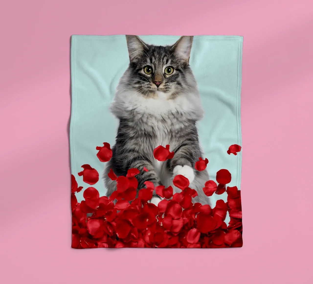 gray cat and red roses fleece blanket by Berwies Artwork