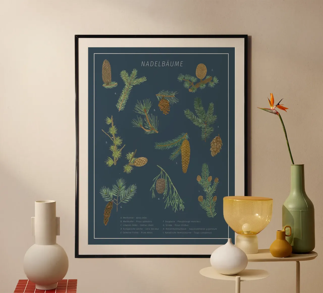 Conifere botaniche - Erbario poster con telaio in plastica da herzundpapier