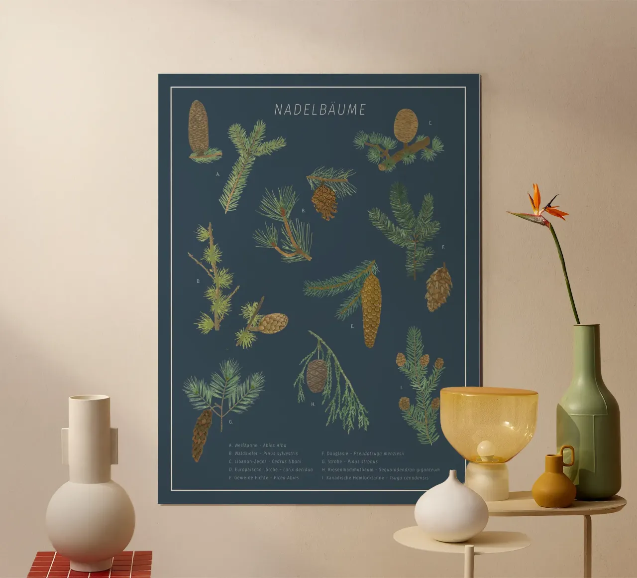 Conifere botaniche - Erbario poster con telaio in plastica da herzundpapier