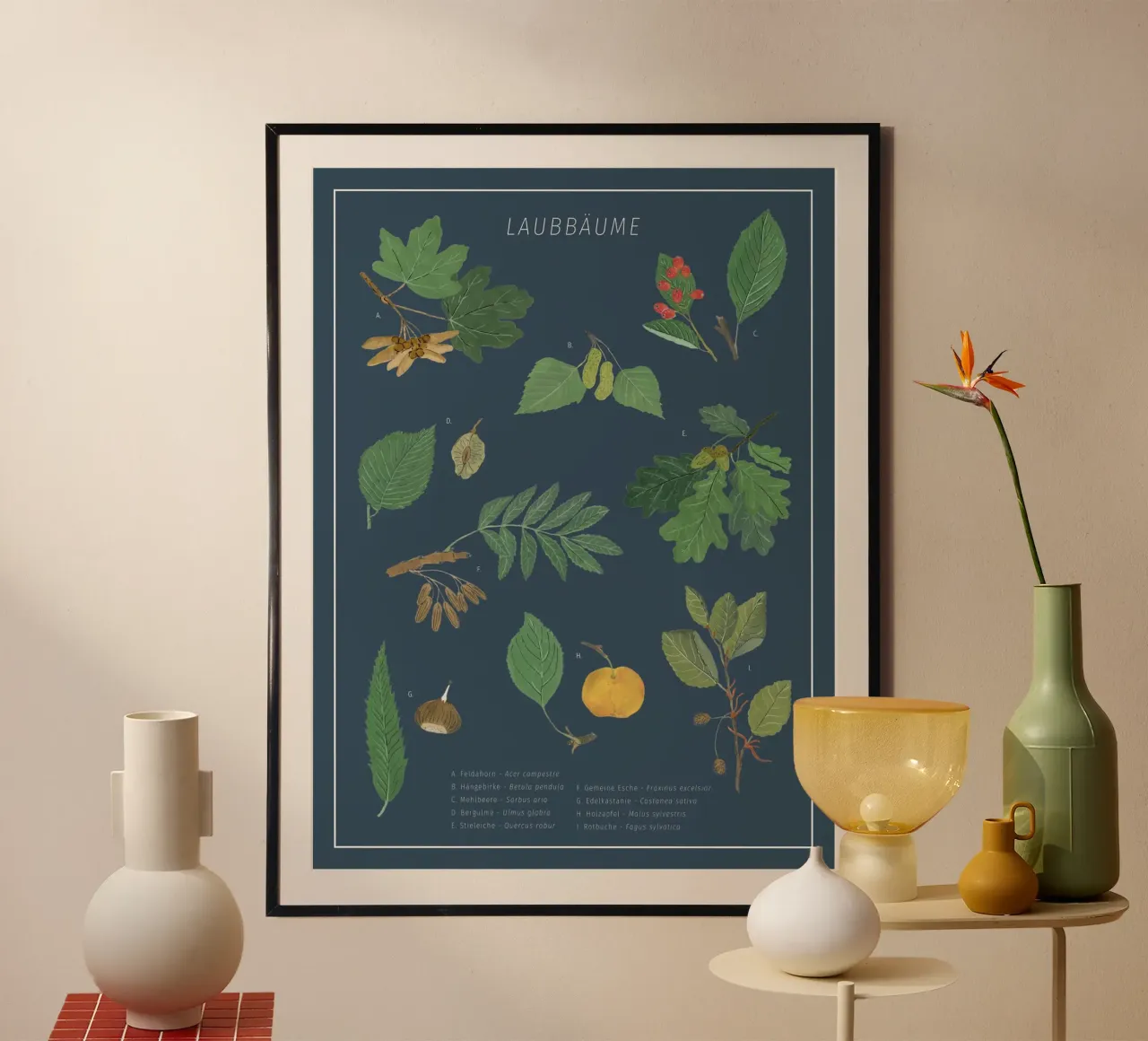 Laubbäume botanisch - Herbarium poster con telaio in plastica da herzundpapier