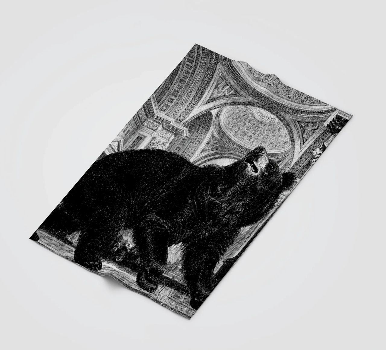 Raymond coperta in pile da The Gently Unfurling Sneak