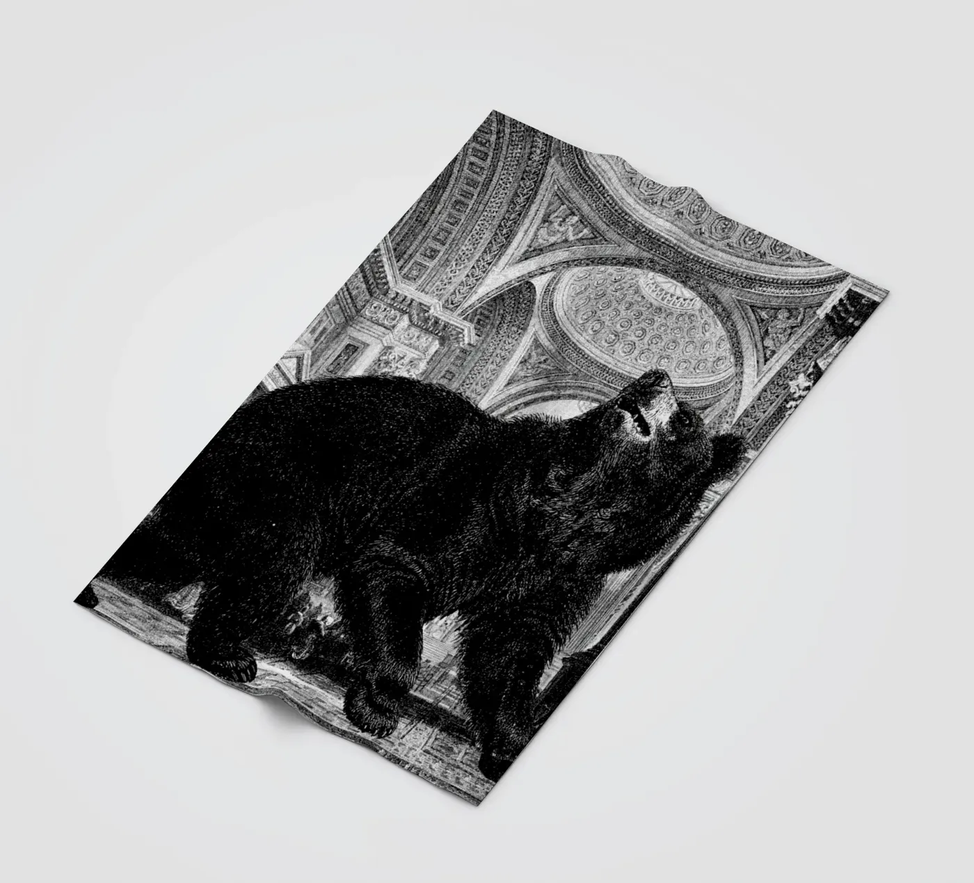 Raymond fleecedeken van The Gently Unfurling Sneak