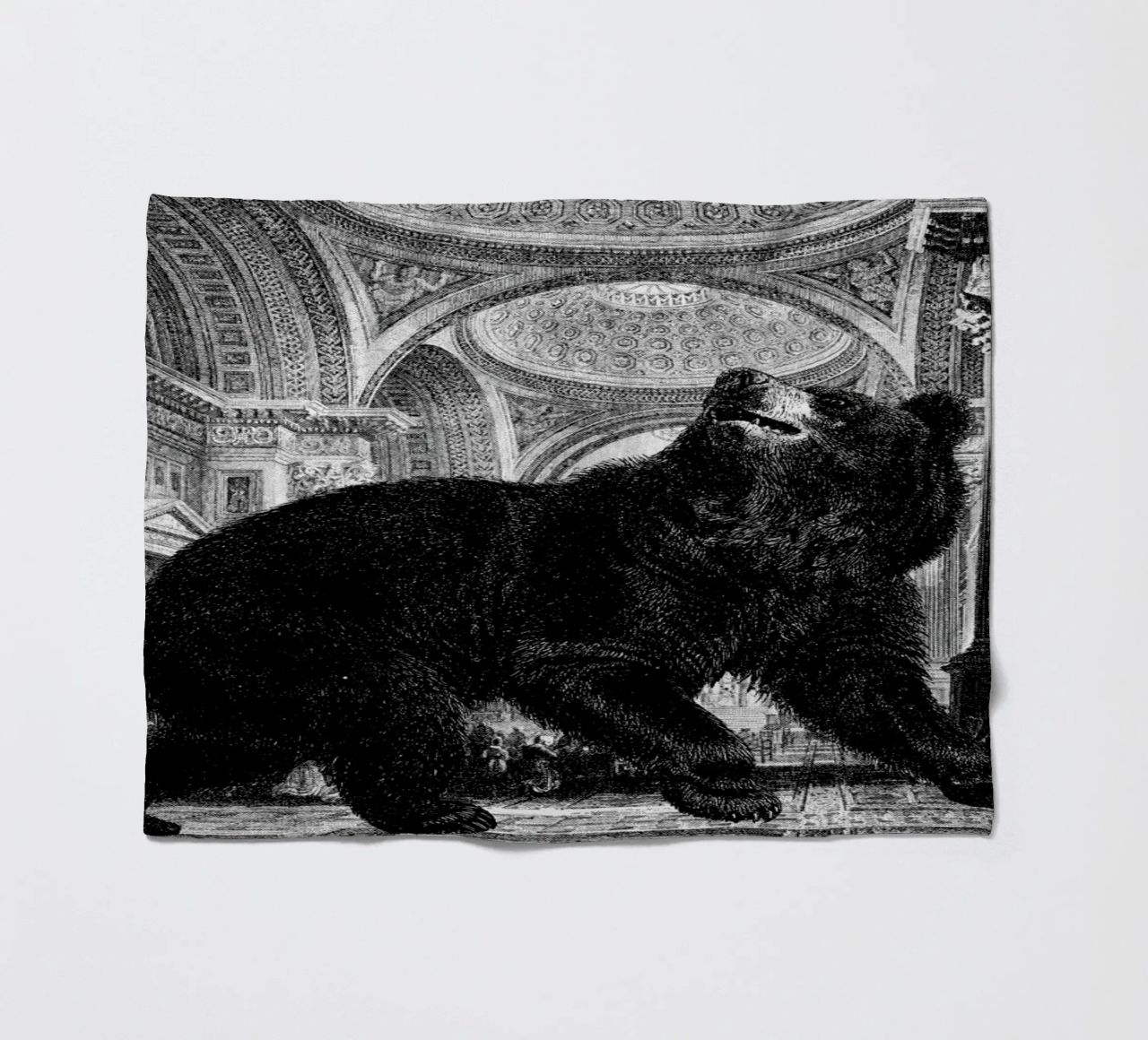 Raymond coperta in pile da The Gently Unfurling Sneak