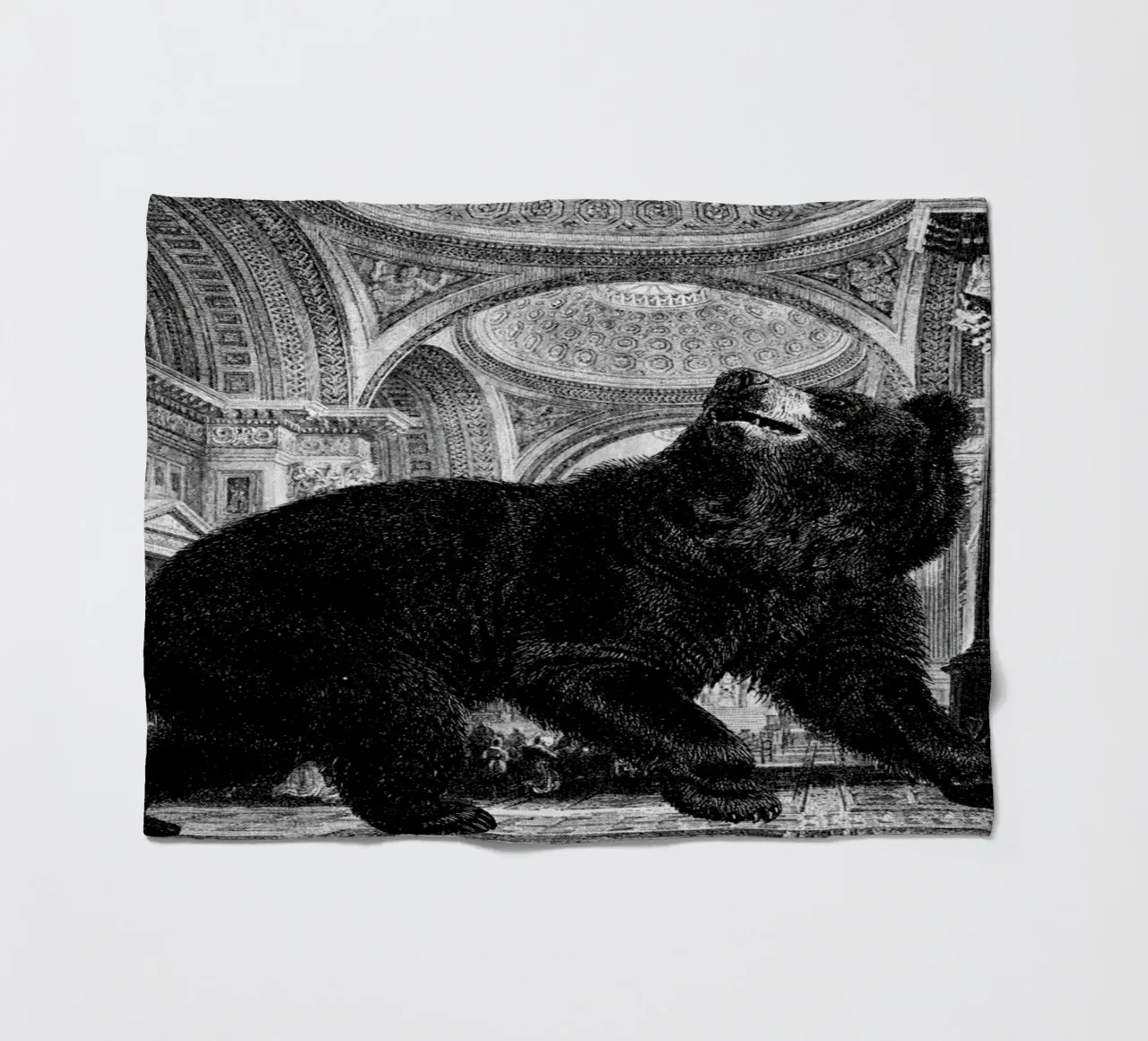 Raymond coperta in pile da The Gently Unfurling Sneak