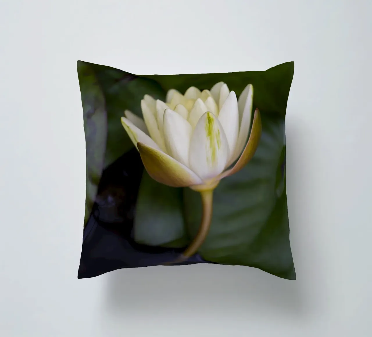Grace in Bloom – The Beauty of the White Lily cuscino da Curious Collections by Marielle Leenders