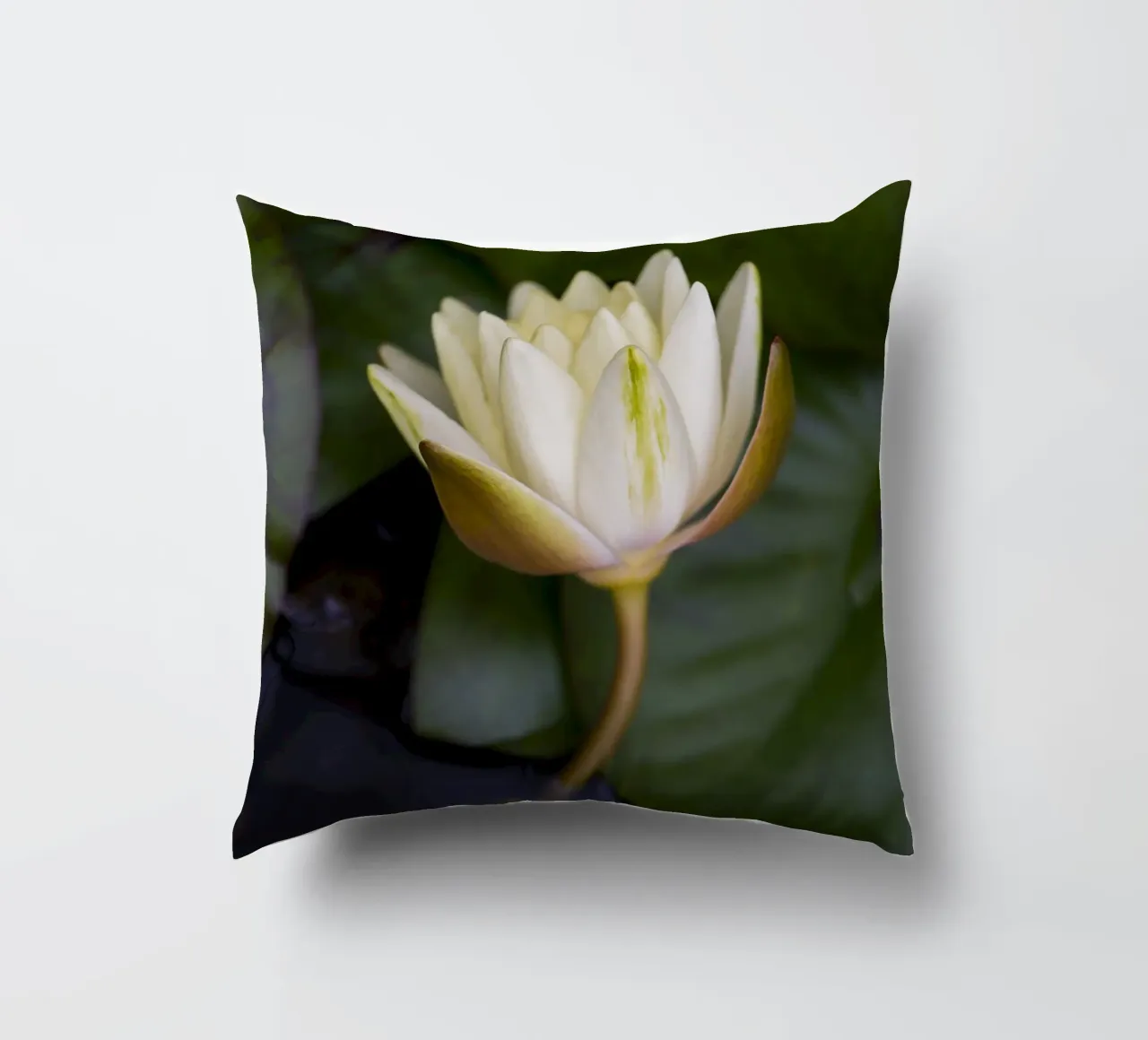 Grace in Bloom – The Beauty of the White Lily cuscino da Curious Collections by Marielle Leenders