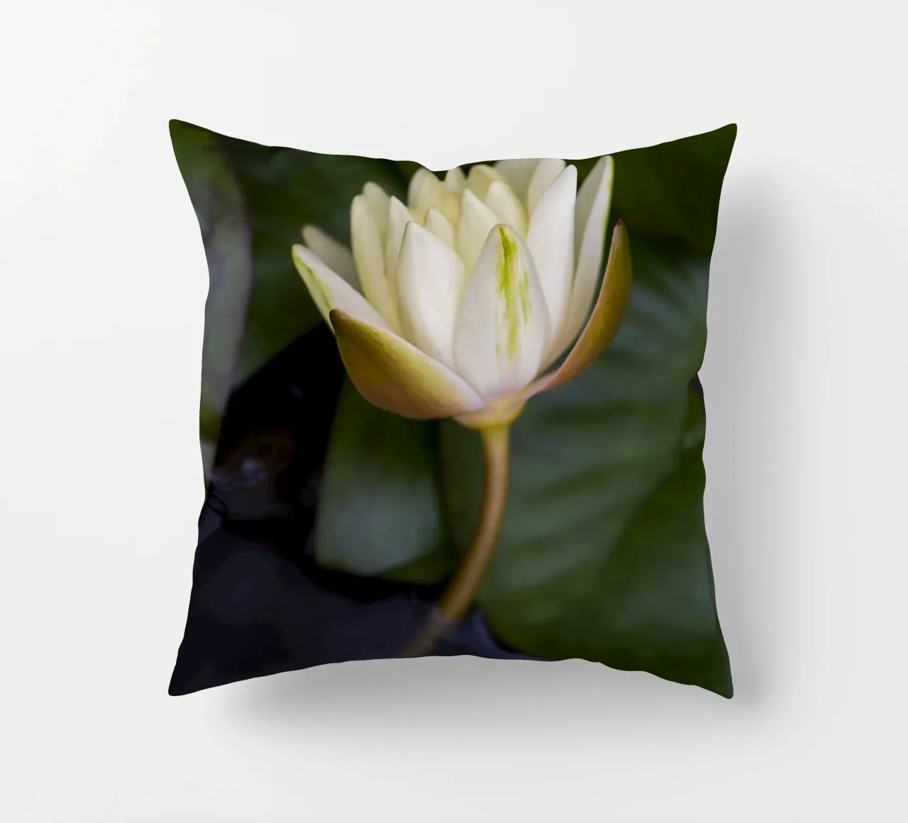Grace in Bloom – The Beauty of the White Lily cuscino da Curious Collections by Marielle Leenders