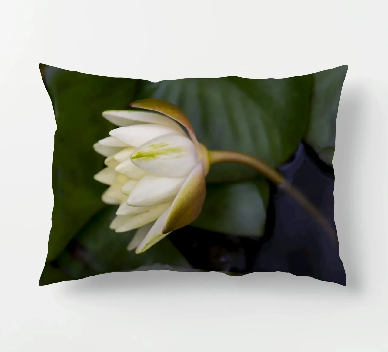 Grace in Bloom – The Beauty of the White Lily cuscino da Curious Collections by Marielle Leenders