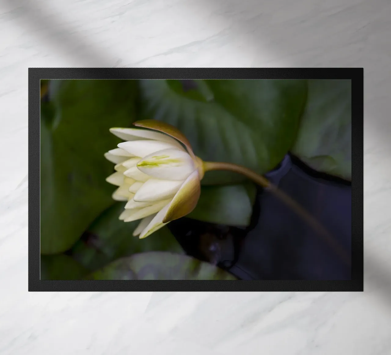 Grace in Bloom – The Beauty of the White Lily zerbino da Curious Collections by Marielle Leenders