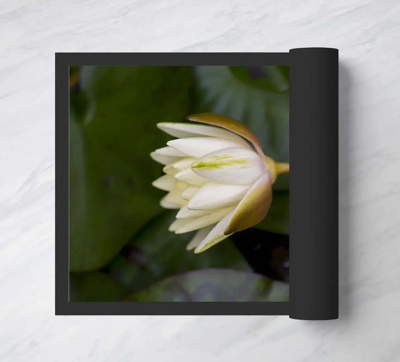 Grace in Bloom – The Beauty of the White Lily zerbino da Curious Collections by Marielle Leenders