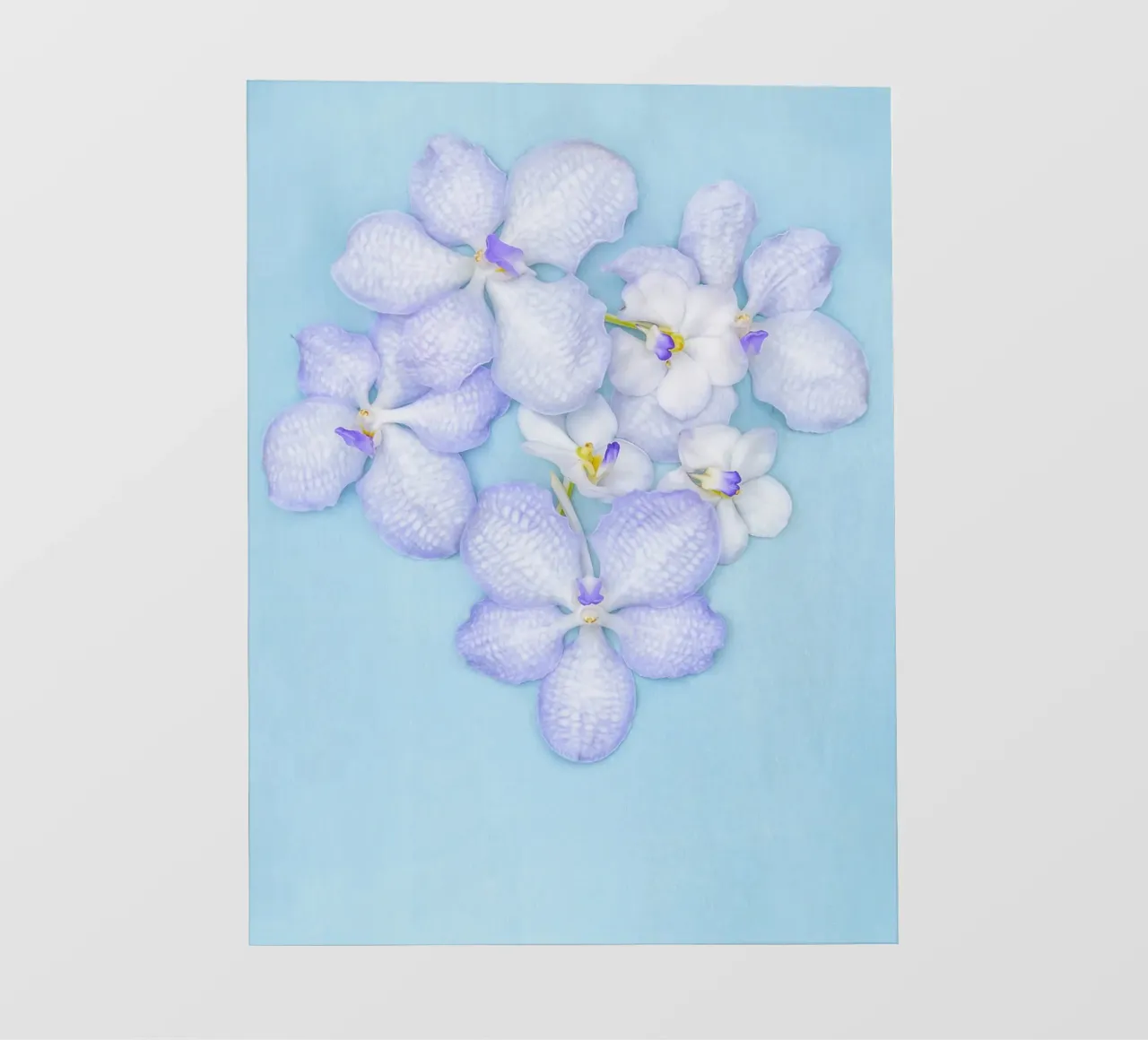 Serenity in Bloom – Lilac Orchids photo wallpaper by Curious Collections by Marielle Leenders