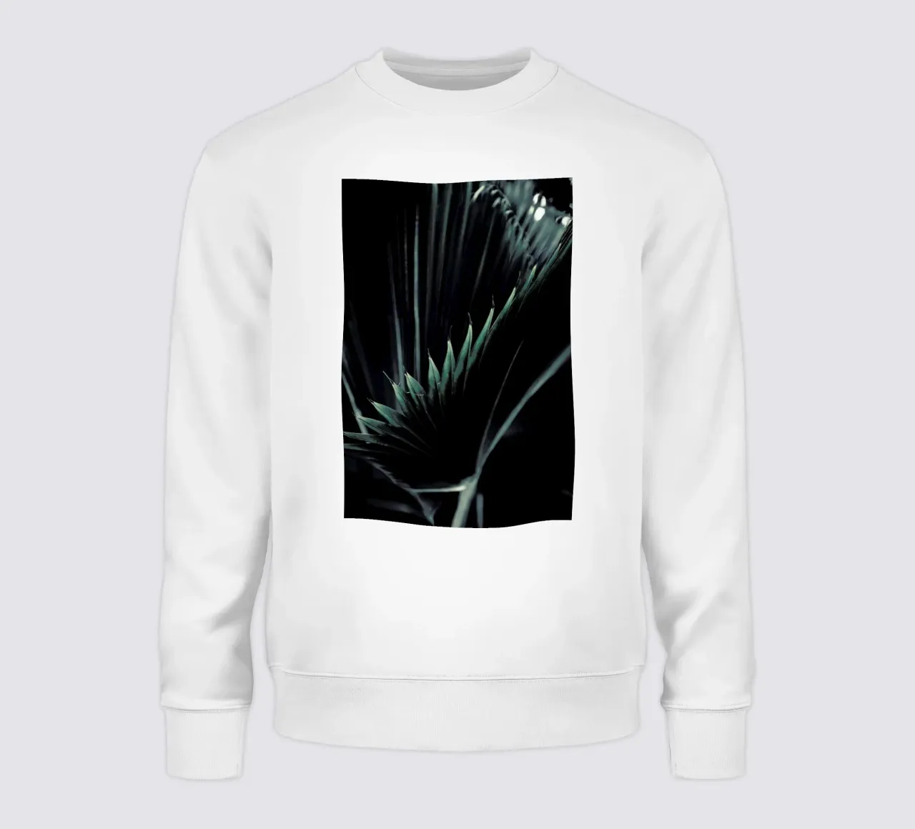 Palm Shade 1 felpa da Chris Abatzis