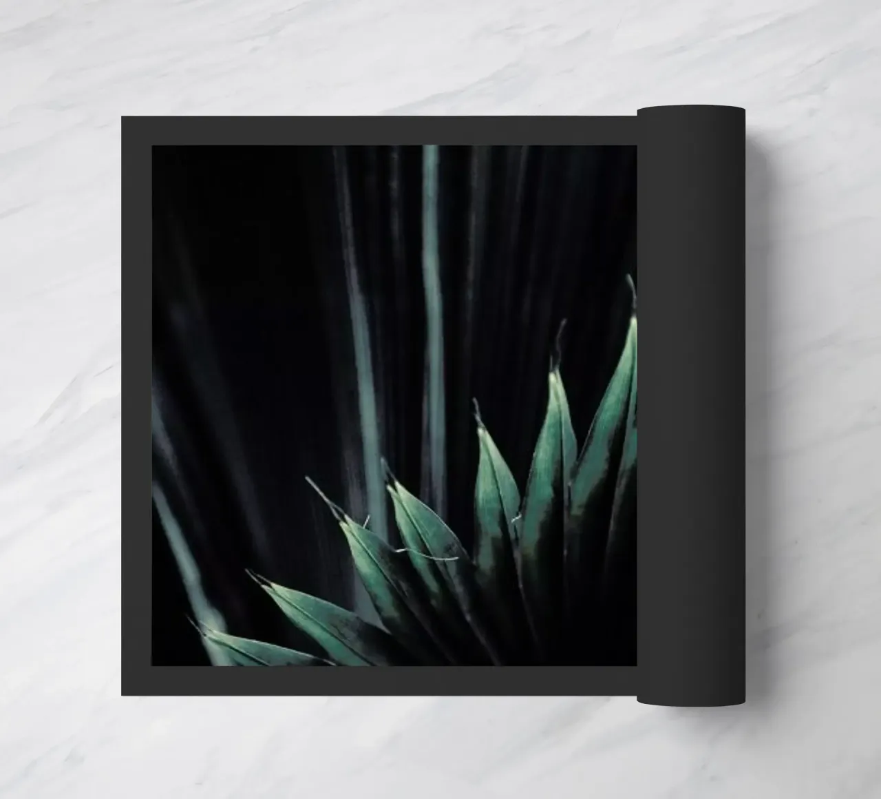 Palm Shade 1 zerbino da Chris Abatzis