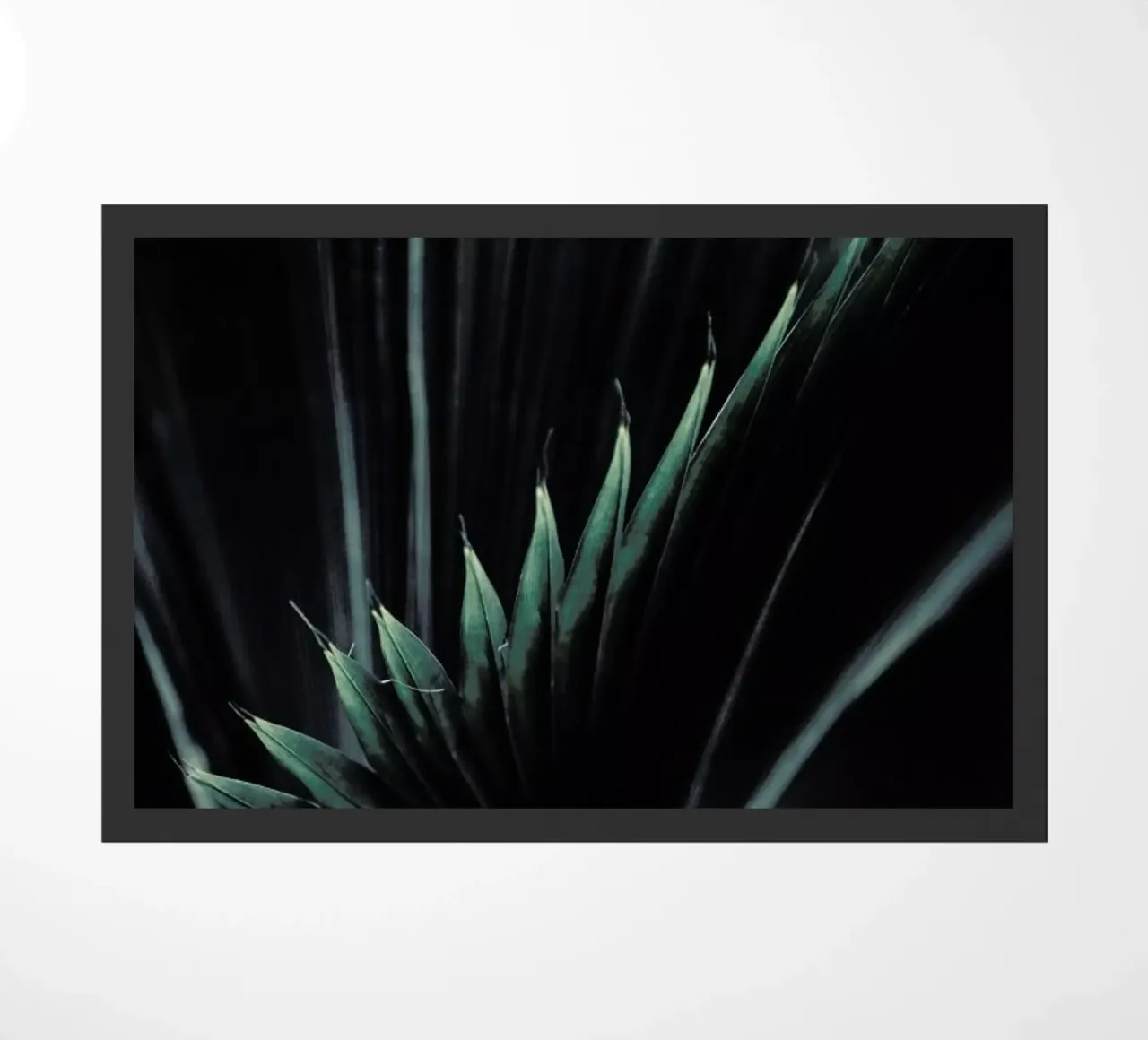 Palm Shade 1 zerbino da Chris Abatzis