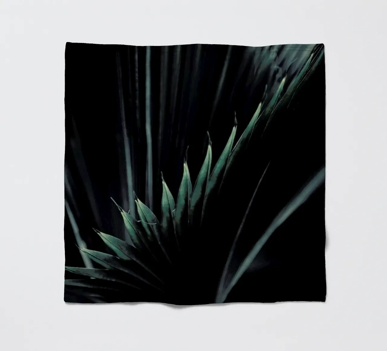 Palm Shade 1 coperta in pile da Chris Abatzis