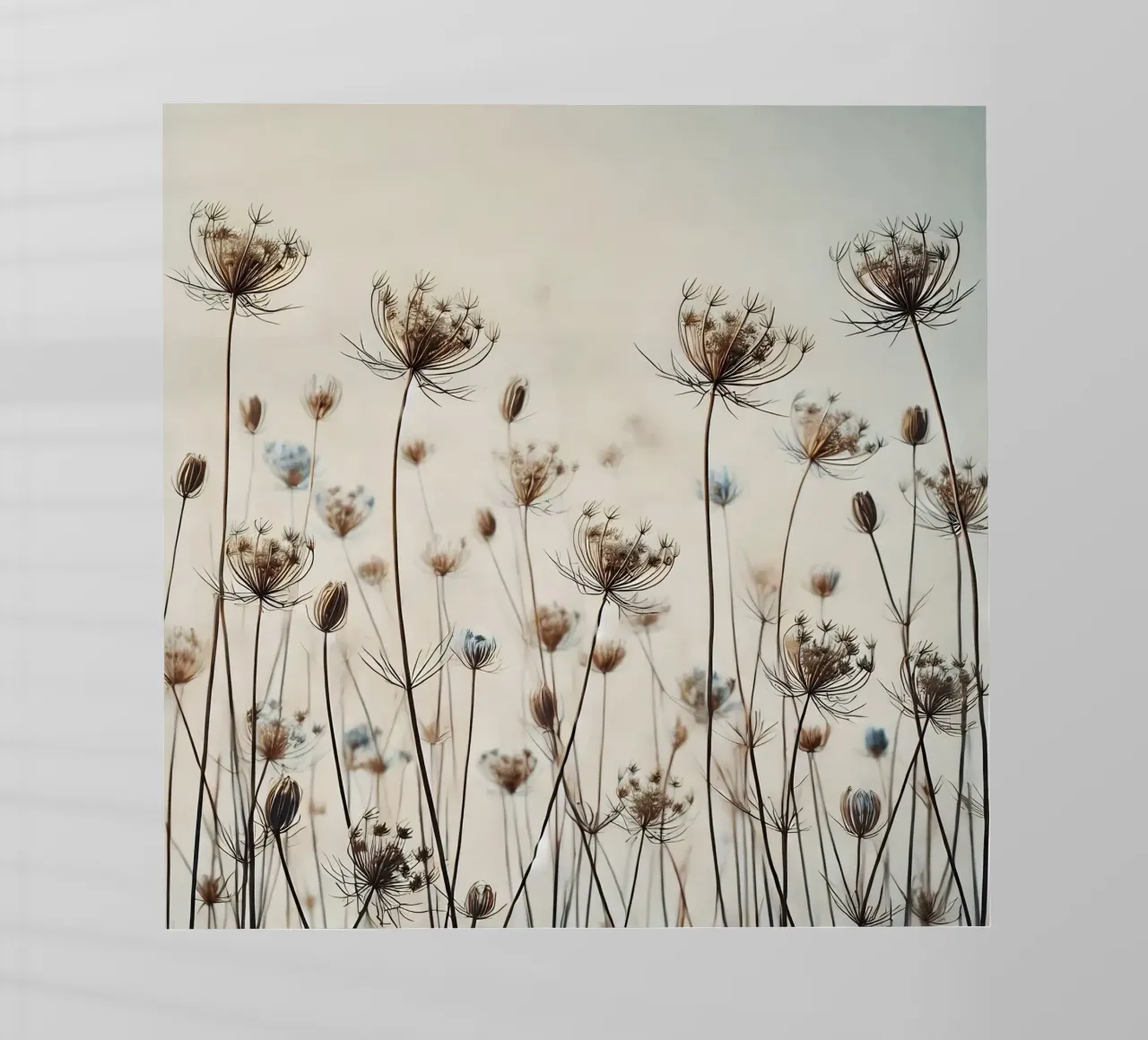 Prato pellicola backlit da nomad