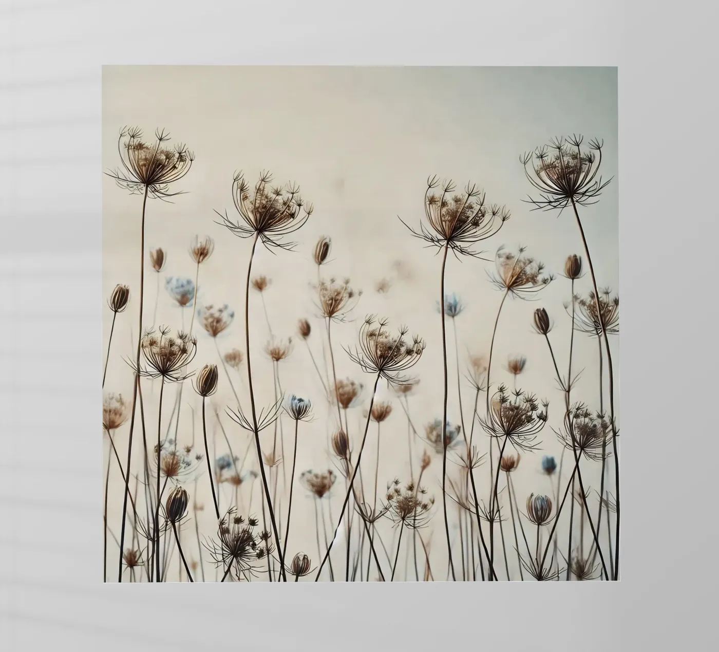 Prato pellicola backlit da nomad