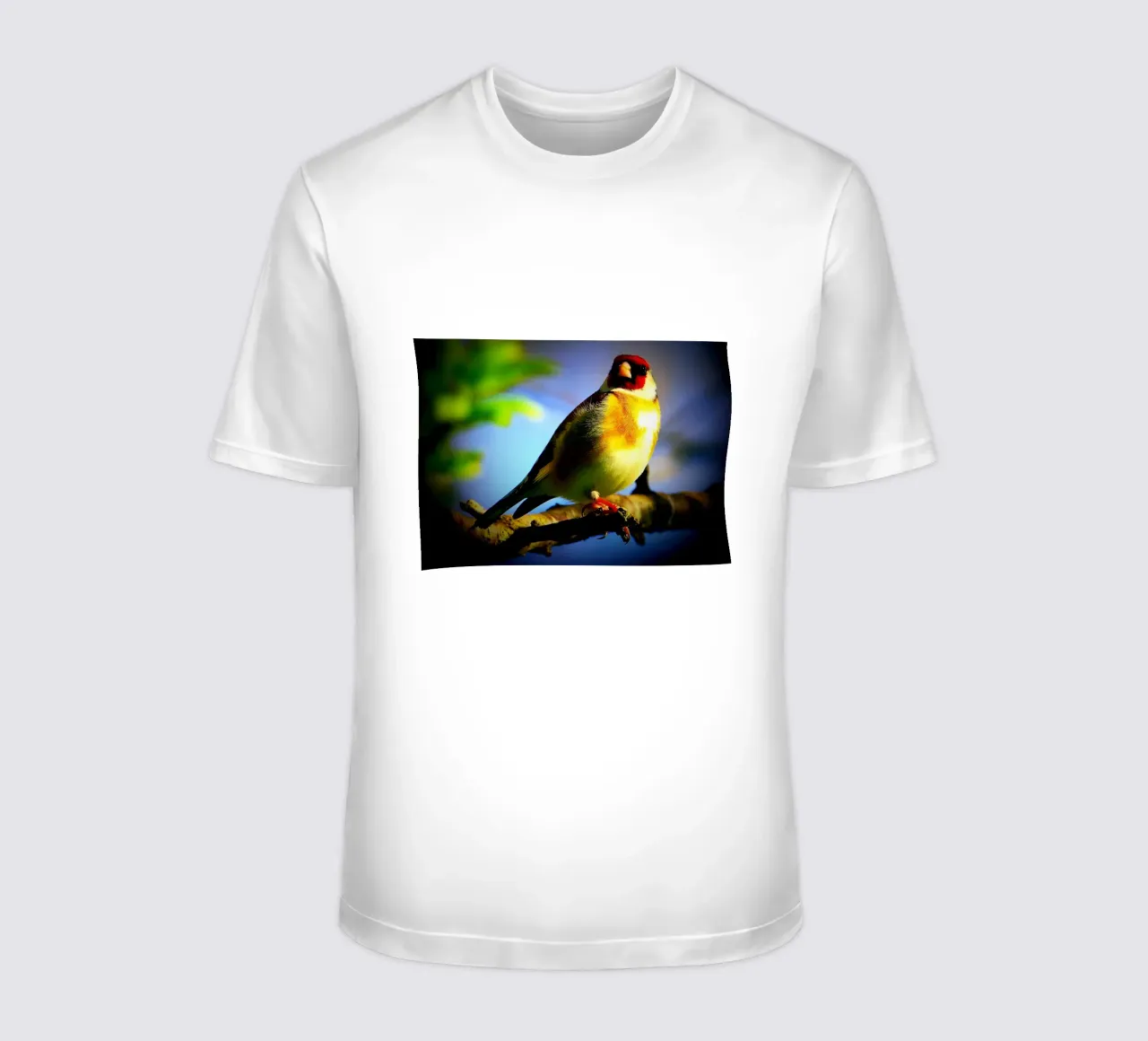 FAA149 t-shirt da Thierry vobmann photography