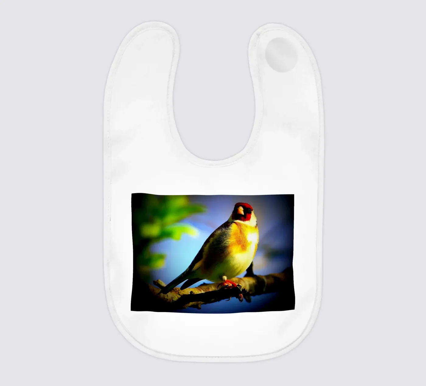 FAA149 bavaglino da Thierry vobmann photography