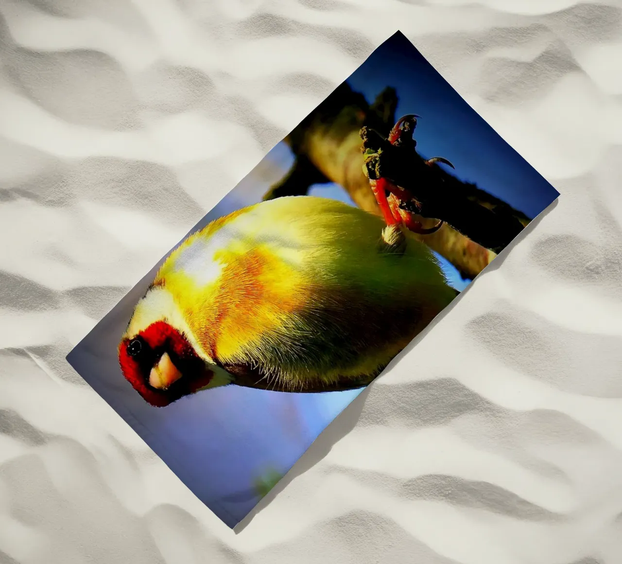 FAA149 telo mare da Thierry vobmann photography