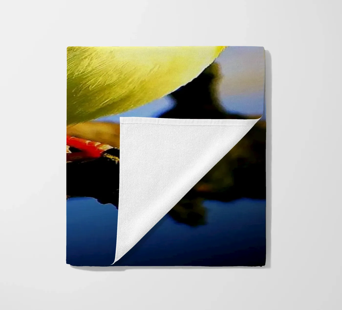 FAA149 telo mare da Thierry vobmann photography