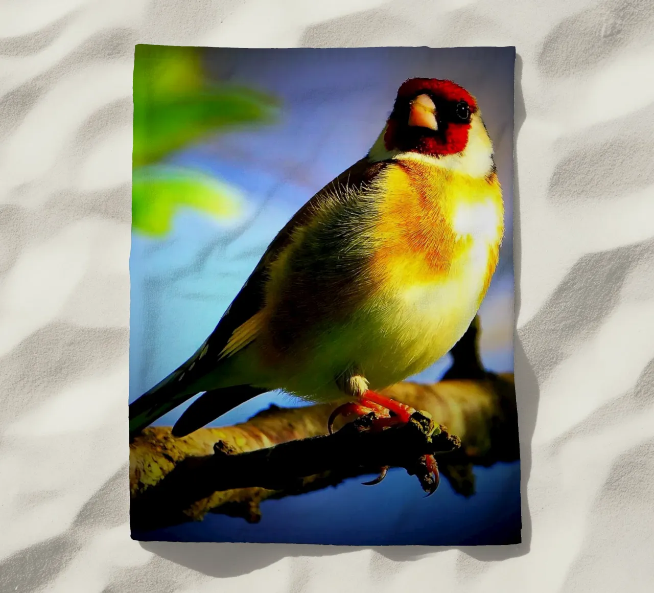 FAA149 telo mare da Thierry vobmann photography