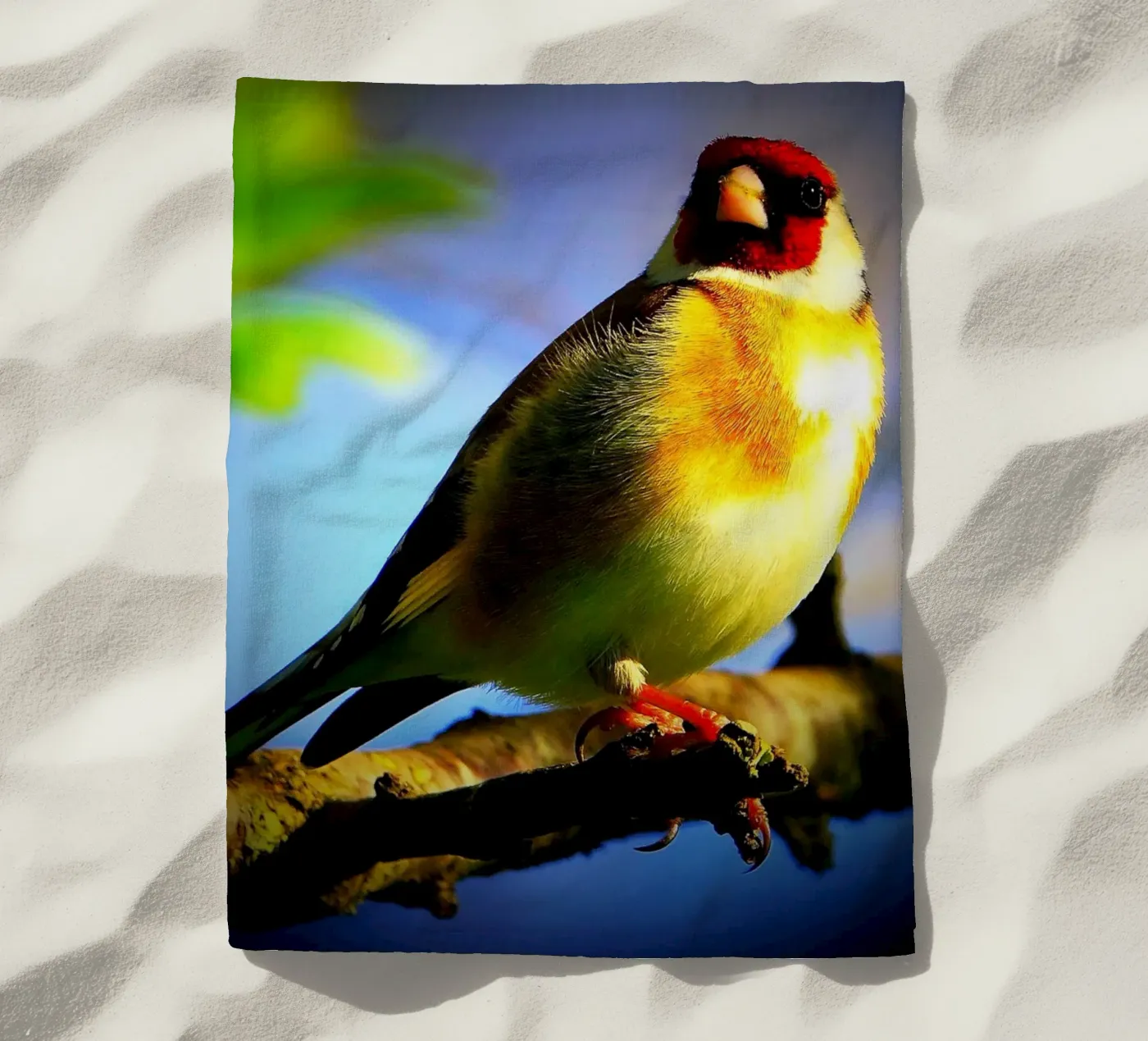 FAA149 telo mare da Thierry vobmann photography