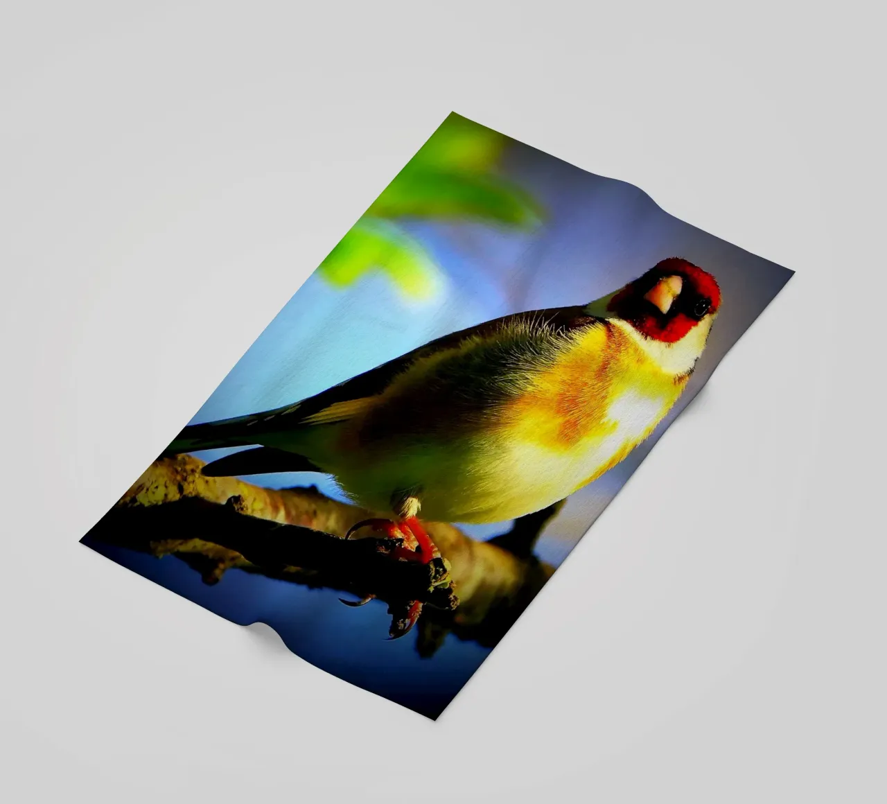 FAA149 telo mare da Thierry vobmann photography