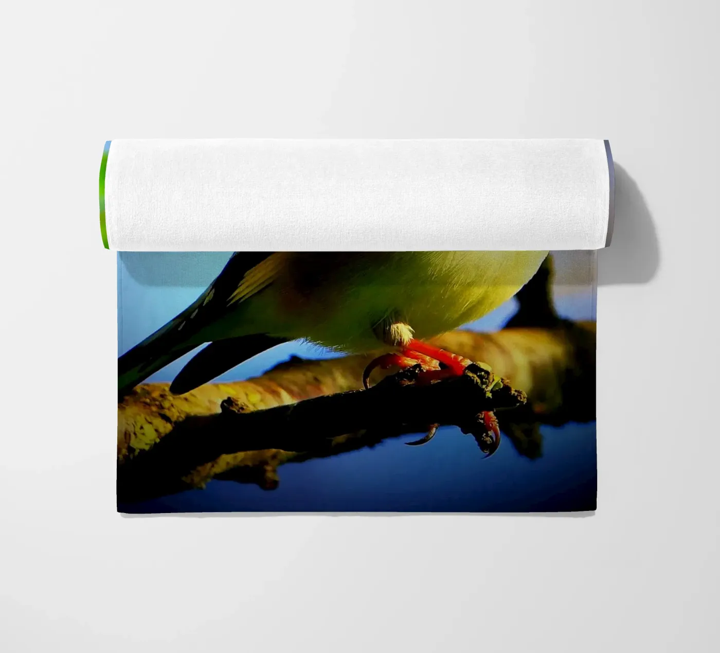 FAA149 telo mare da Thierry vobmann photography