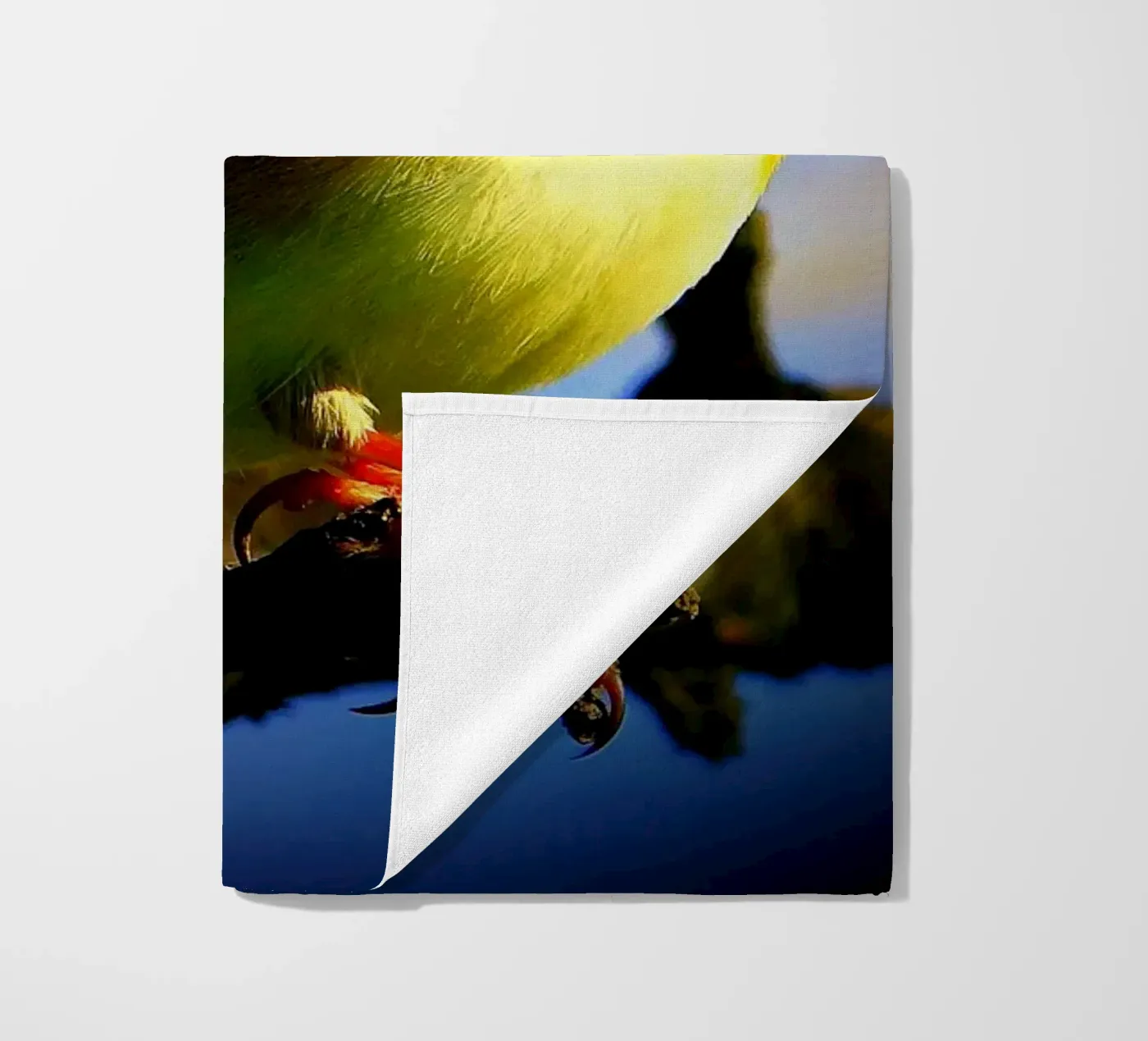 FAA149 telo mare da Thierry vobmann photography