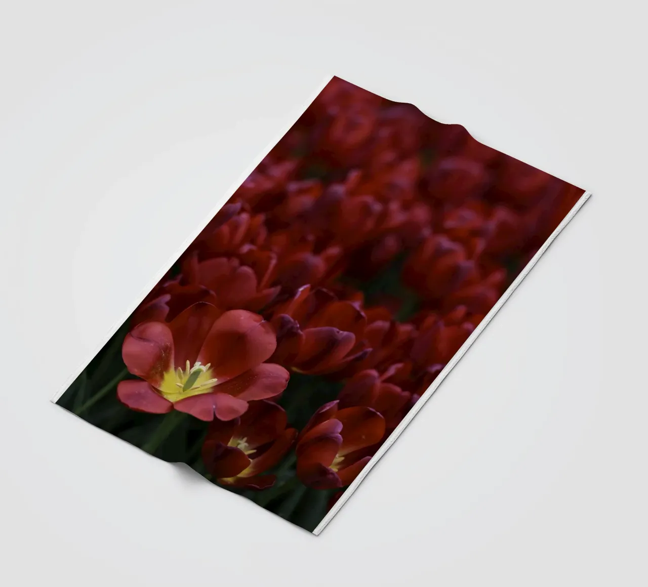 Passion in Nature – The Allure of a Red Tulip coperta in pile da Curious Collections by Marielle Leenders