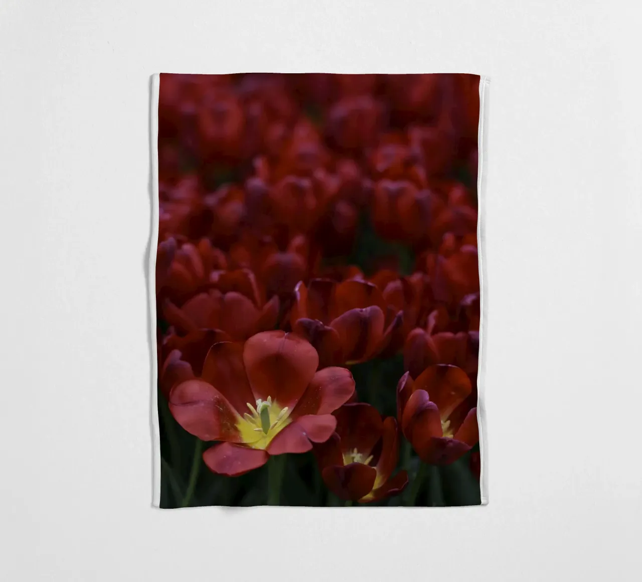 Passion in Nature – The Allure of a Red Tulip coperta in pile da Curious Collections by Marielle Leenders