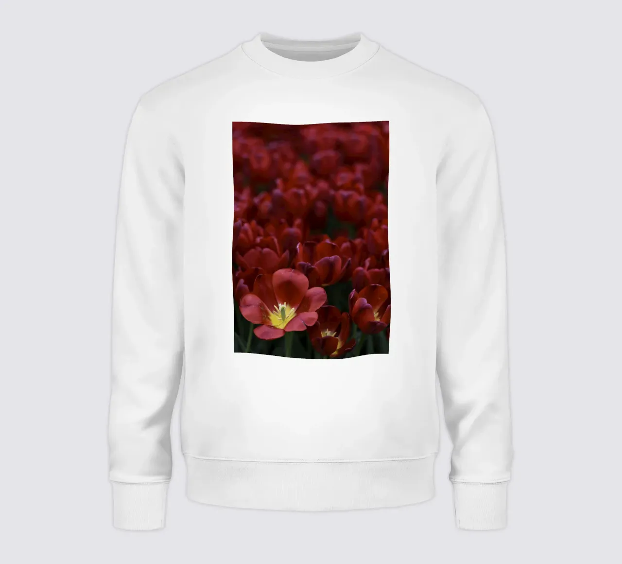 Passion in Nature – The Allure of a Red Tulip sweatshirt by Curious Collections by Marielle Leenders