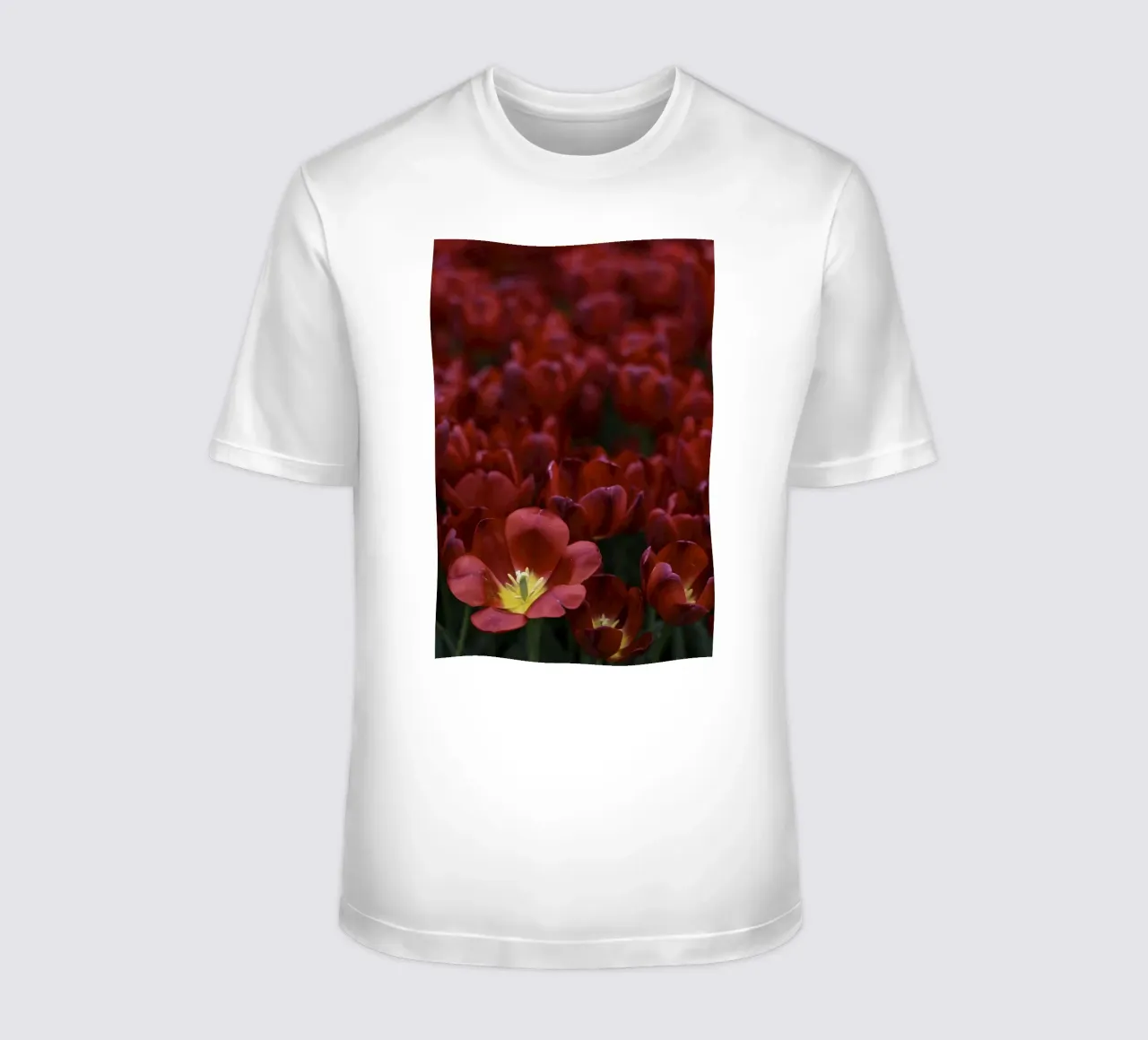 Passion in Nature – The Allure of a Red Tulip t-shirt da Curious Collections by Marielle Leenders