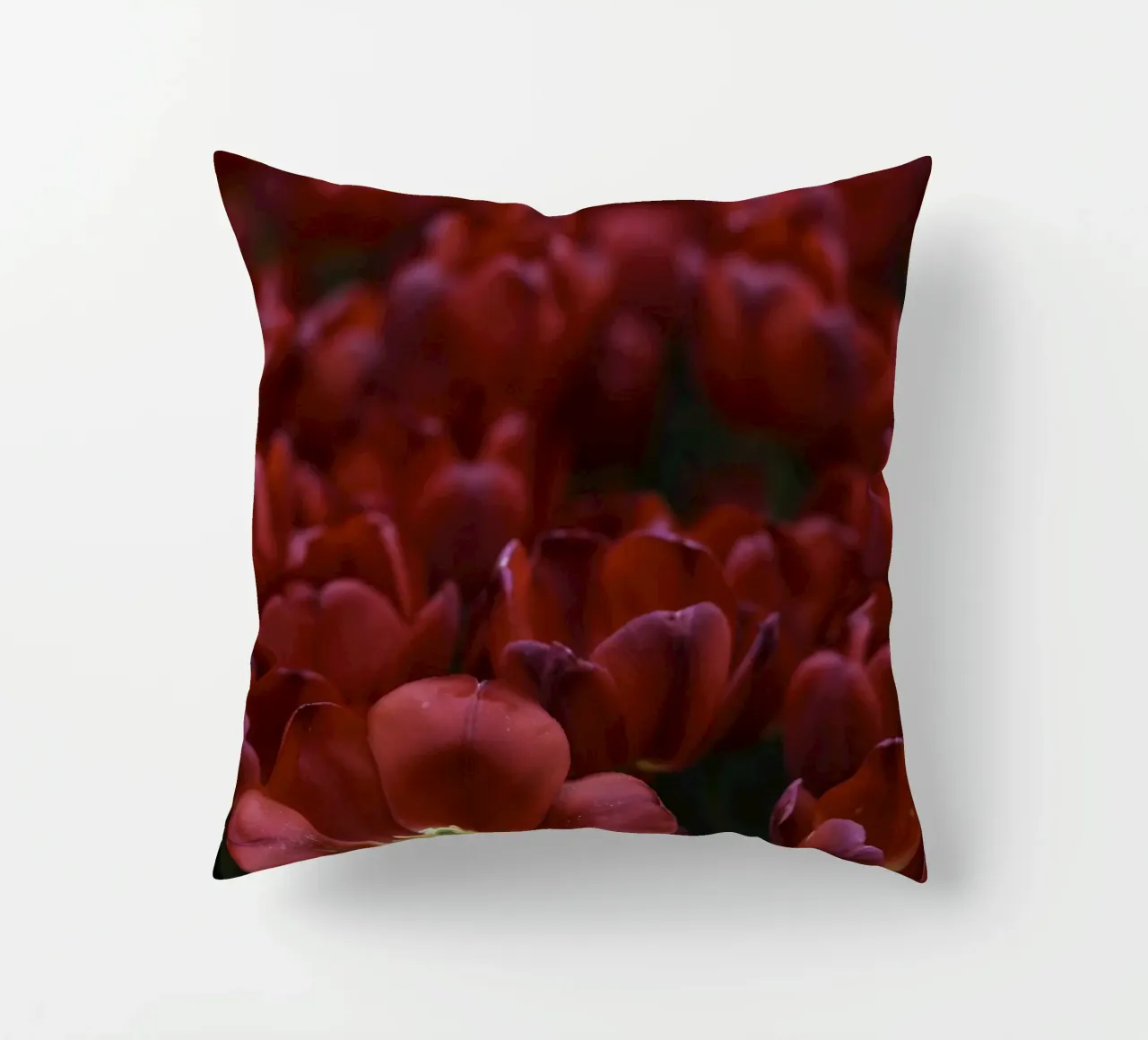 Passion in Nature – The Allure of a Red Tulip cuscino da Curious Collections by Marielle Leenders