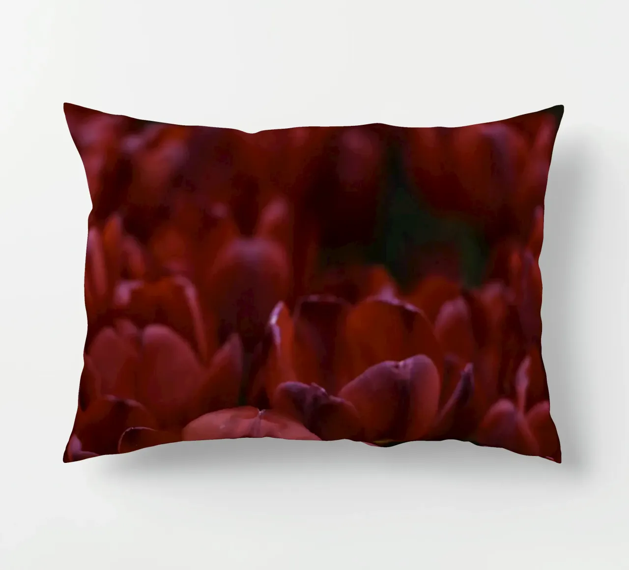 Passion in Nature – The Allure of a Red Tulip cuscino da Curious Collections by Marielle Leenders