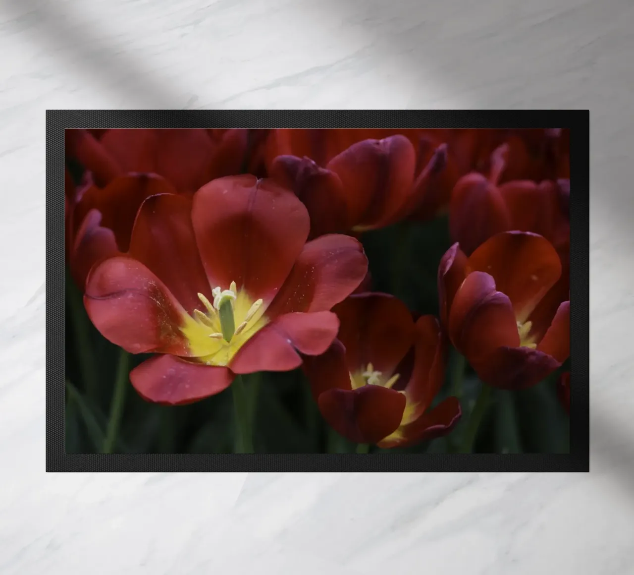 Passion in Nature – The Allure of a Red Tulip zerbino da Curious Collections by Marielle Leenders