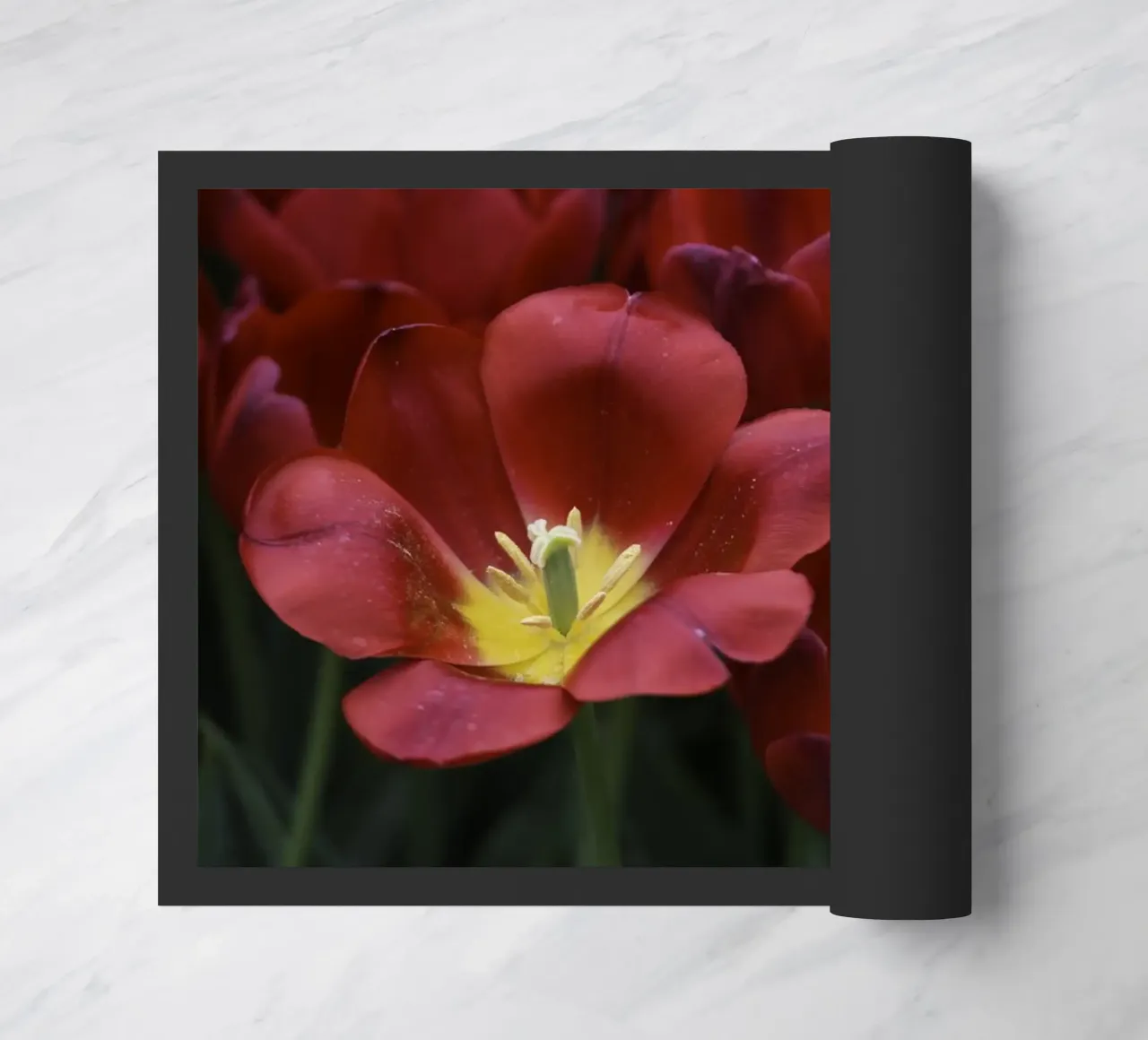 Passion in Nature – The Allure of a Red Tulip felpudo de Curious Collections by Marielle Leenders