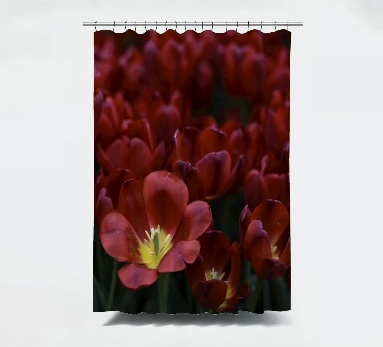 Passion in Nature – The Allure of a Red Tulip tenda da doccia da Curious Collections by Marielle Leenders